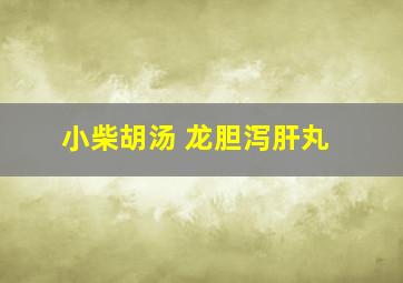 小柴胡汤 龙胆泻肝丸